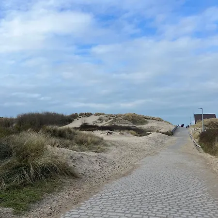 Myfa Beachcottage Zeewind Ii 243 Tatil Evi