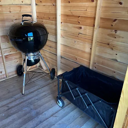 Dom wakacyjny Myfa Beachcottage Zeewind Ii 243 *