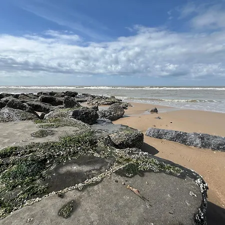 Tatil Evi Myfa Beachcottage Zeewind Ii 243 *